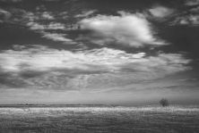 radia ivkovi - morning note ii.jpg